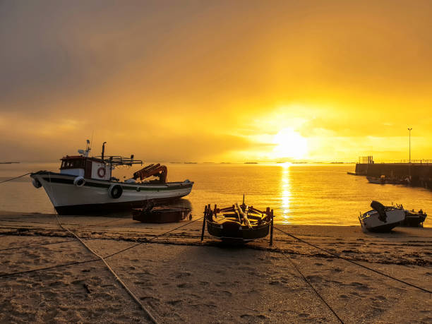 Fishing boats at dawn stock photo