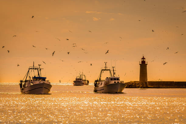 Fishing Boats, Lighthouse and Seagulls stock photo