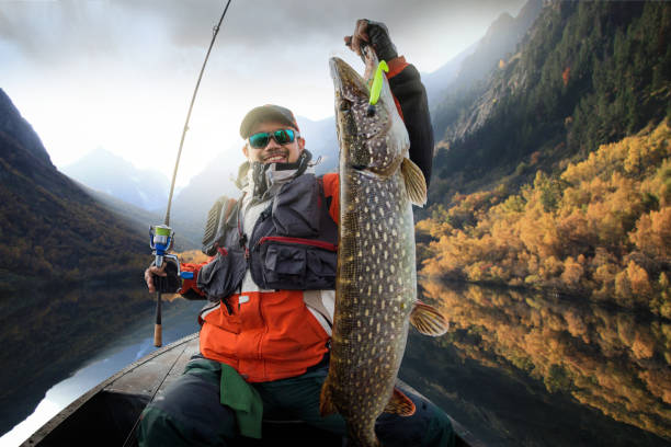 Fishing. Fisherman and trophy Pike. Fishing backgrounds hunting trophy stock pictures, royalty-free photos & images