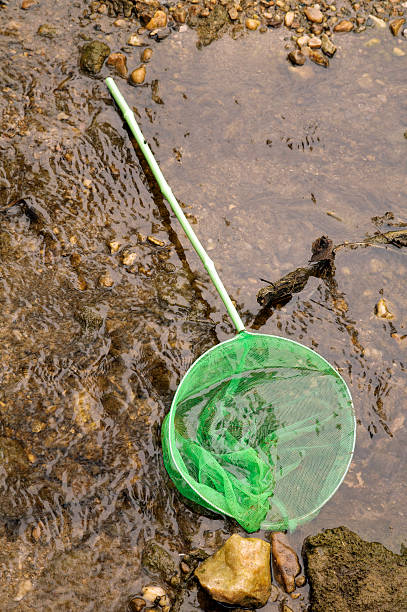 fishing net left in stream stock photo