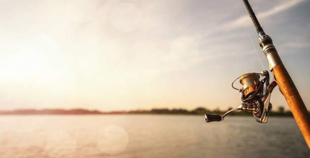 canne à pêche pendant le coucher du soleil au lac - cannes photos et images de collection