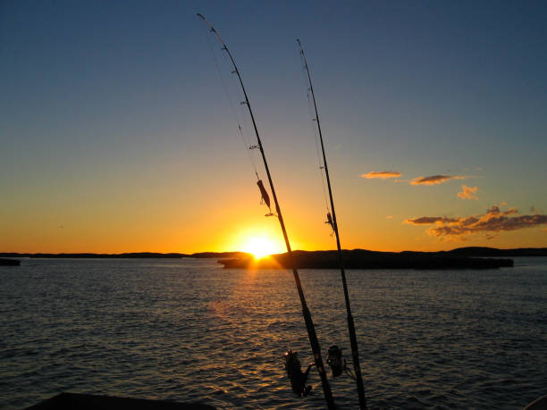 Fishing rods at Sunset. The end of a good day stock photo