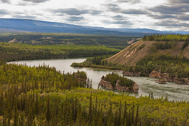 Five Finger Rapids of Yukon River in YT, Canada Treacherous Five Finger Rapids of the Yukon River near town of Carmacks, Yukon Territory, Canada yt stock pictures, royalty-free photos & images