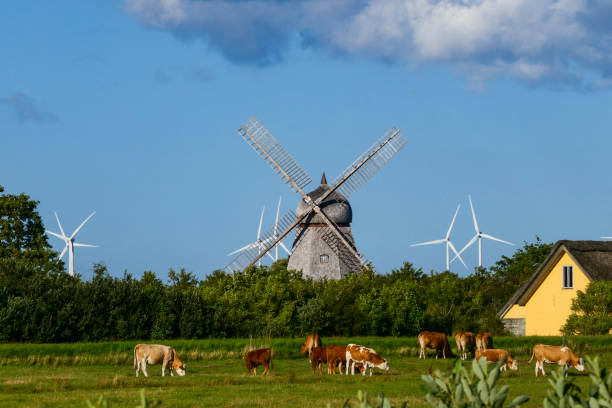 Fjerritslev, Denmark Fjerritslev, Denmark Wind turbines and a classic windmill in a field with cows. denmark stock pictures, royalty-free photos & images