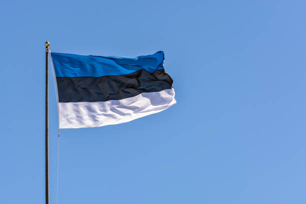 Flag against sky. estonian flag stock pictures, royalty-free photos & images