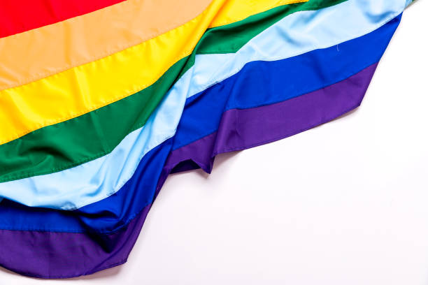 bandera de lgbt  - nyc pride parade fotografías e imágenes de stock