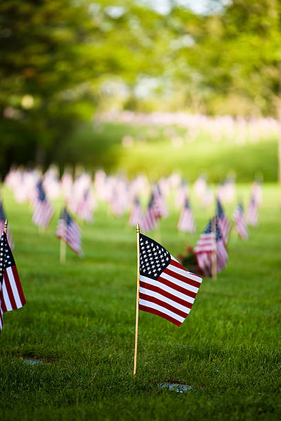 Flags adorn the National Cemetery stock photo