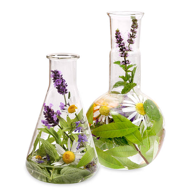 Flasks with medicinal herbs stock photo