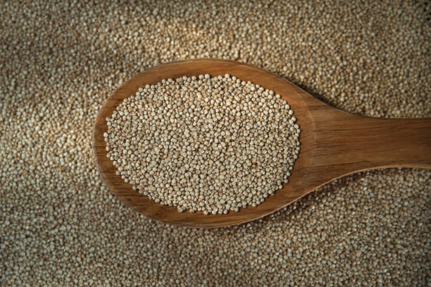 Flat wooden spoon filled with row nutritious quinoa seeds placed against a quinoa background stock photo