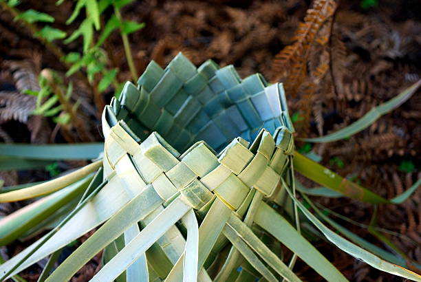 Flax Kete in Undergrowth stock photo