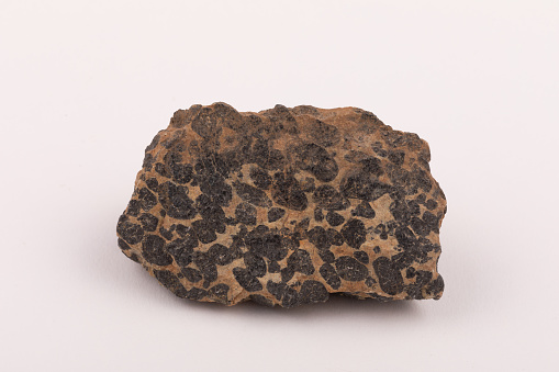 flint rounded large grained conglomerate sedimentary rock with fine silica cement