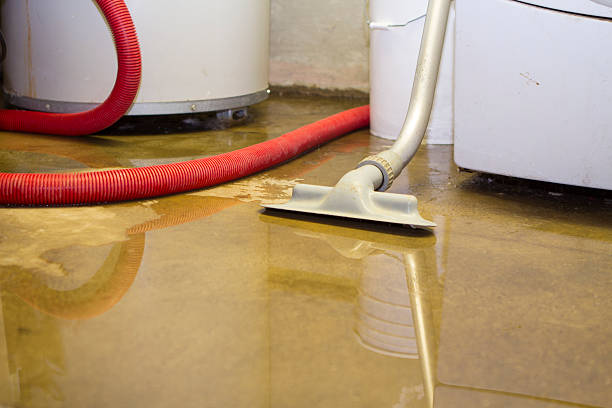 Flooded basement cleanup Cleaning up a blooded basement. Narrow depth of field. basement photos stock pictures, royalty-free photos & images