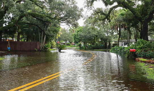 Fort Lauderdale street floods with rain water from Tropical Storm Eta.