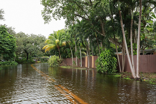Tropical Storm Eta floods neighborhoods in Fort Lauderdale, Florida, USA.