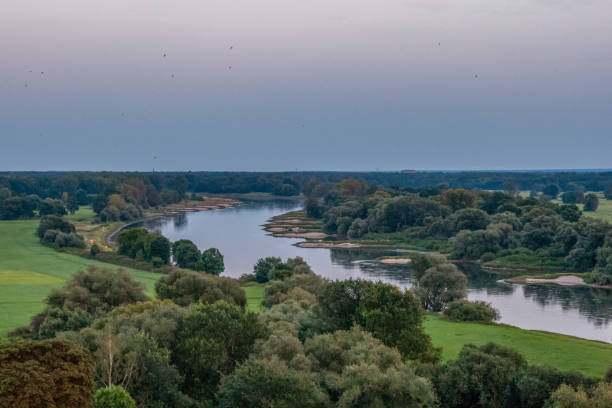 Floodplain landscape of the Elbe Floodplain landscape of the Elbe near Roßlau (Saxony-Anhalt) elbe river stock pictures, royalty-free photos & images