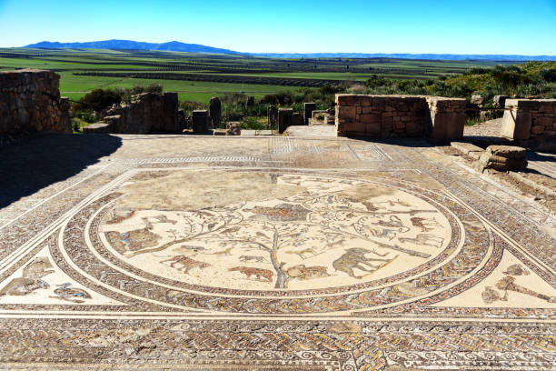 golvmosaiken i orpfeus hus i romerska ruiner, antika romerska staden av volubilis. marocko - orfeus bildbanksfoton och bilder