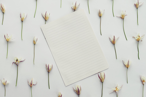 floral background and sheet of paper for text,composition flat lay