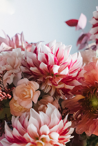 Floral  Background  Stock Photo  Download Image Now iStock  Floral  Background  Stock Photo  Download Image Now iStock