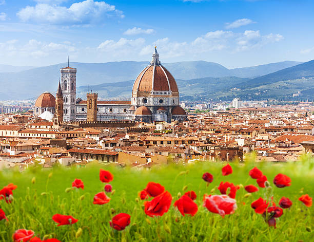 Florence, Duomo and Giotto's Campanile. Florence, Duomo and Giotto's Campanile in poppy flowers florence italy photos stock pictures, royalty-free photos & images