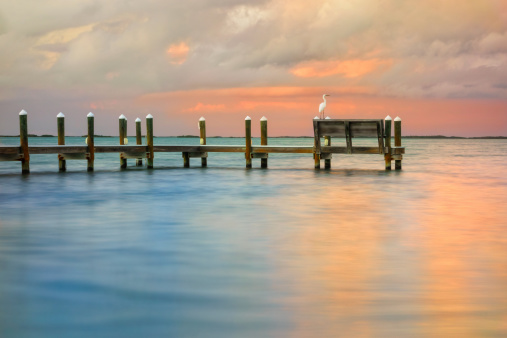 Sunset in Key Largo with a Great Egret resting on a pier.
