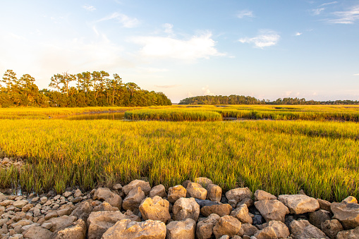 View south through the marsh environs abutting Big Talbot Island near Jacksonville, Florida.