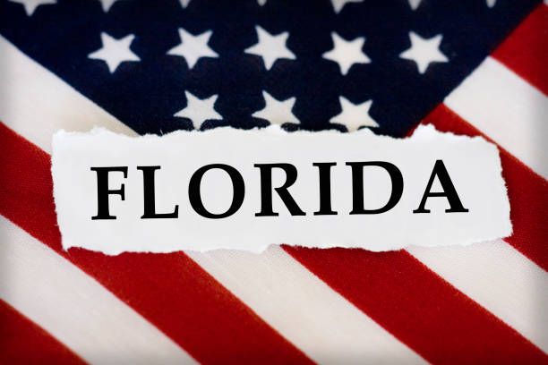 Florida Florida US Flag florida us state photos stock pictures, royalty-free photos & images