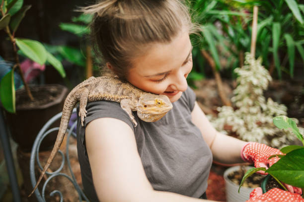 Florist planting plants woman planting plants in the company of a lizard lizard photos stock pictures, royalty-free photos & images