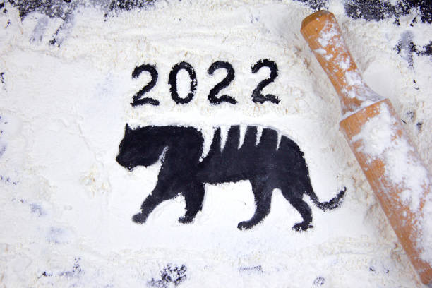 mąka na ciemnym tle i sylwetce tygrysa, nowy rok 2022, sylwetka i symbol nowego roku, chiński nowy rok nowy rok boże narodzenie - happy new year zdjęcia i obrazy z banku zdjęć