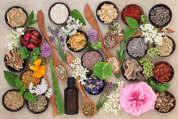 Flower and Herb Selection Flower and herb selection used in natural alternative herbal medicine in wooden spoons and bowls with essential oil bottle on hemp paper background. homeopathic medicine stock pictures, royalty-free photos & images