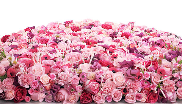 Flower bed A large backdrop of different flowers. bed of roses stock pictures, royalty-free photos & images