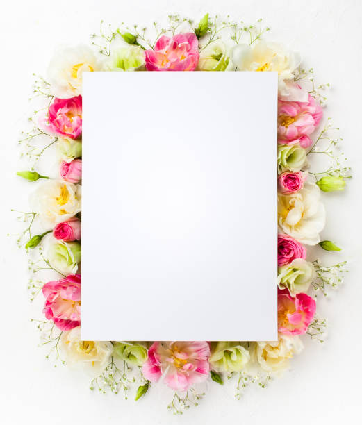 flower concept Festive flower concept : beautiful floral border on the white  background with copy space.  Flat lay. rose flower photos stock pictures, royalty-free photos & images