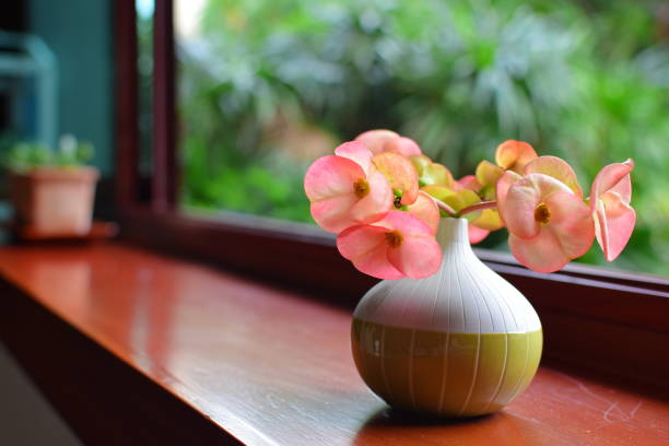 Flower in Small Jar next to Window in the House stock photo