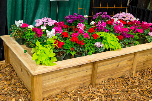 This is an example of a wooden flower planter box on display at a home and garden show.