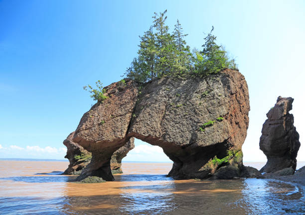 Flower Pot Island at Hopewell Rocks in New Brunswick stock photo