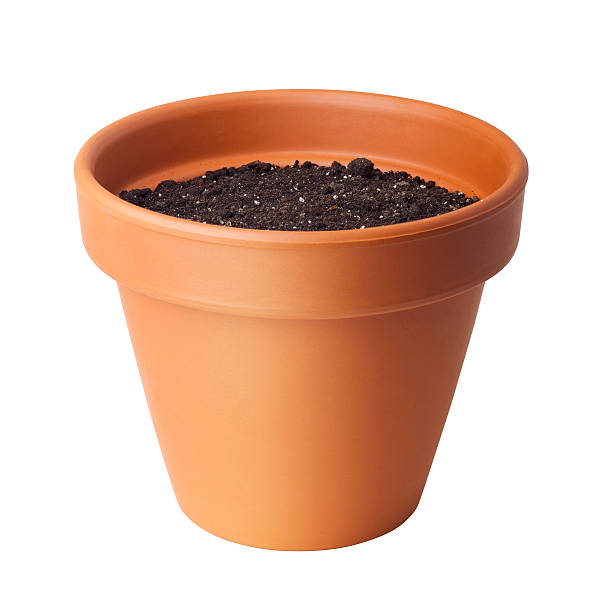 Flower pot with soil stock photo
