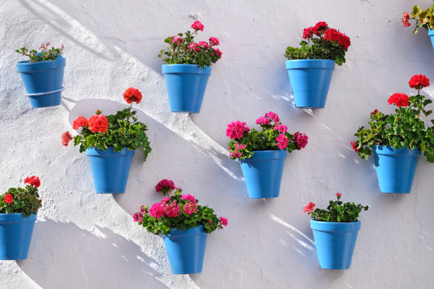 Flower pots decorating on white wall in the old town of Marbella Flower pots decorating on white wall in the old town of Marbella marbella stock pictures, royalty-free photos & images