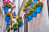 Flower pots on facades in the streets of Cordova, Spain