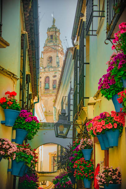 Flower Street in Cordoba View of the Calleja de las Flores, located in Córdoba. In the background the Mesquita Cathedral. cordoba mosque stock pictures, royalty-free photos & images