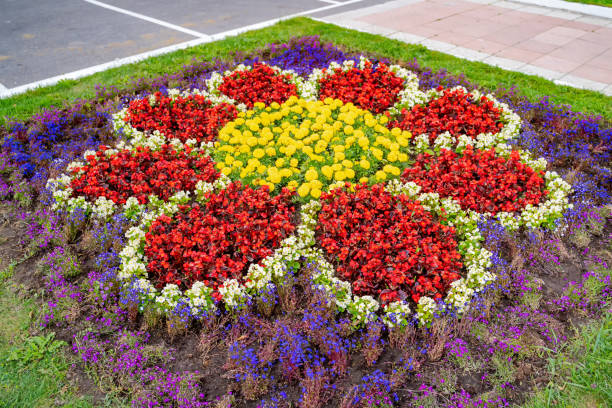 Flowerbed with multicolored species of flowers. Breathtaking view on nature. stock photo