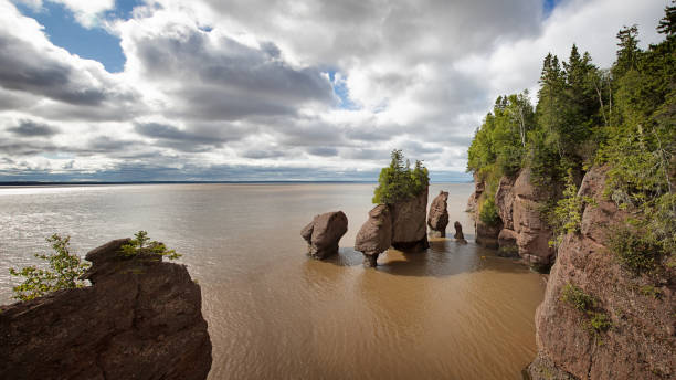Flowerpot rocks panorama Panorama of the flowerpot rock formations at Hopewell Rocks, Bay of Fundy, New Brunswick. The extreme tidal range of the bay makes the sea look like mud from the stirred up silt. outcrop stock pictures, royalty-free photos & images