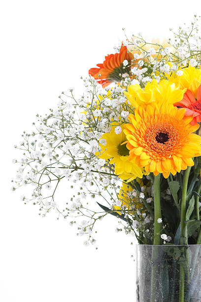 Flowers and Vase stock photo