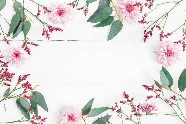 Flowers composition on white wooden background. Flat lay, top view Flowers composition. Frame made of pink flowers and eucalyptus branches on white wooden background. Flat lay, top view, copy space mothers day background stock pictures, royalty-free photos & images