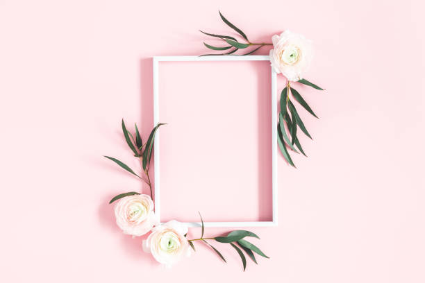 Flowers composition. White flowers, eucalyptus leaves, photo frame on pastel pink background. Flat lay, top view, copy space Flowers composition. White flowers, eucalyptus leaves, photo frame on pastel pink background. Flat lay, top view, copy space floral pattern photos stock pictures, royalty-free photos & images