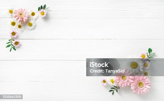 istock Flowers composition. White flowers on white wooden background. Wedding mockup with pink and white flowers. Flat lay, top view, frame. Gerbera, chamomile flowers. 1335563305
