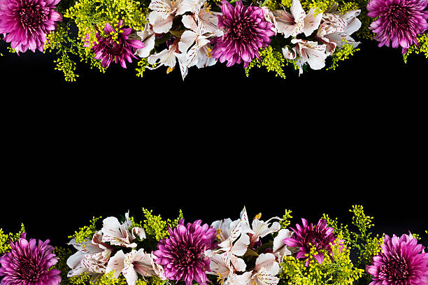 Flowers frame stock photo