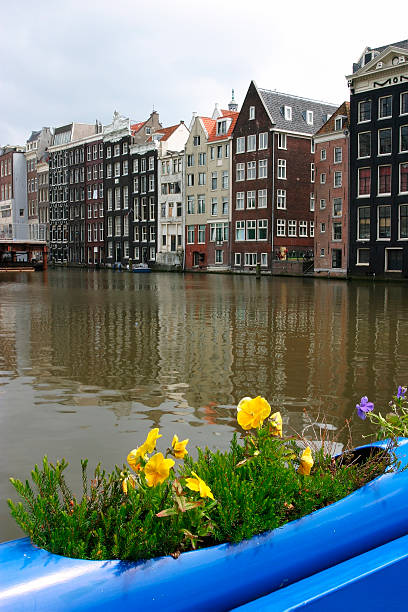 Flowers in Amsterdam stock photo
