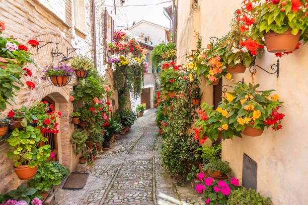 Flowers in ancient street located in Spello village. Umbria Region, Italy. stock photo