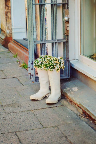 Flowers in old rubber boots, creative upcycling Flowers in old rubber boots, creative upcycling upcycling stock pictures, royalty-free photos & images
