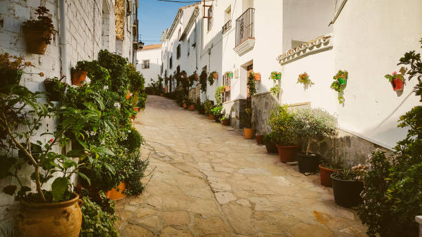 Flowers in the street Flowers in the street of white village in el Gastor in the province of Cadiz in a sunny day cadiz stock pictures, royalty-free photos & images