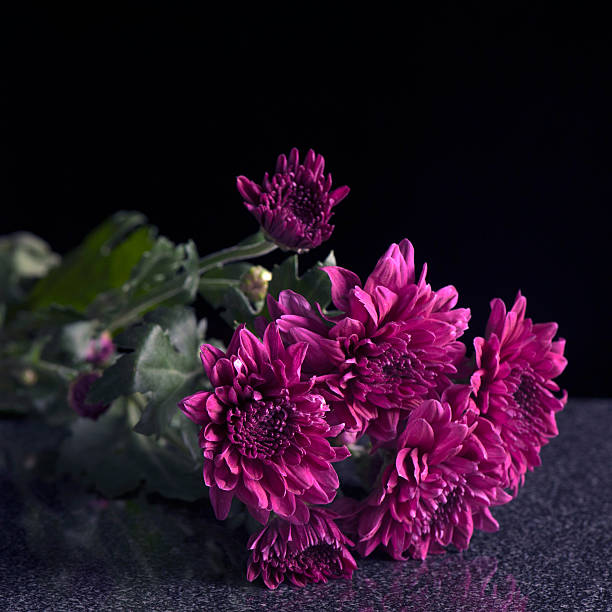 Flowers on a granite surface stock photo